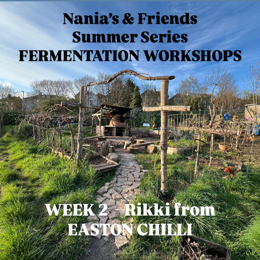 Fermentation Workshop with Nania's Wildbrew (21st June 2025)