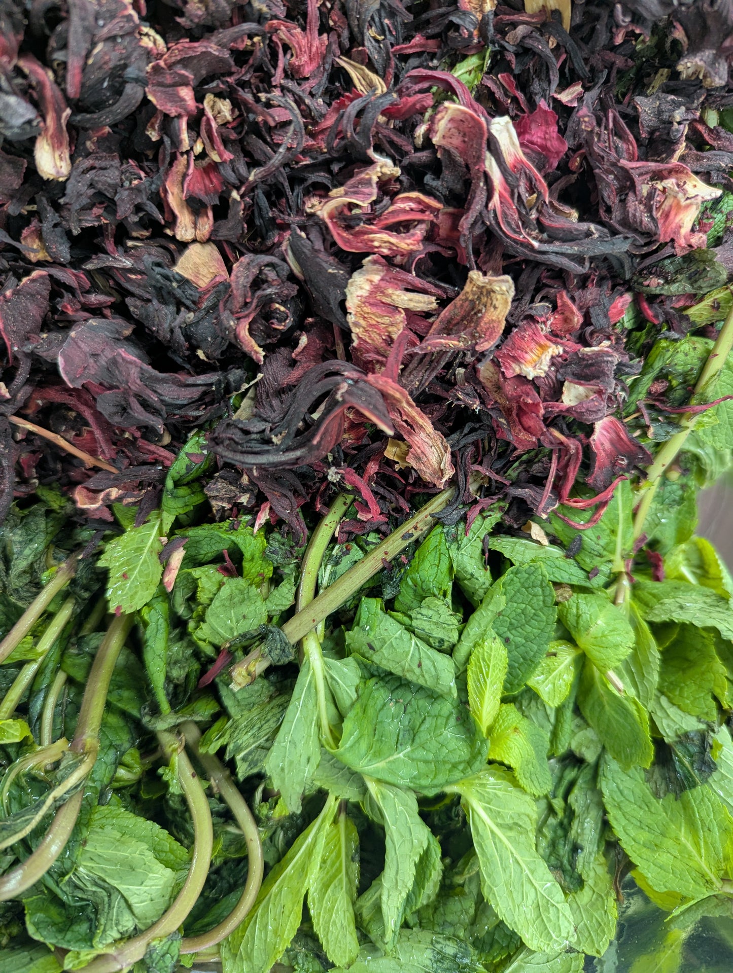 Sorella: Hibiscus + Mint Sweet Chilli