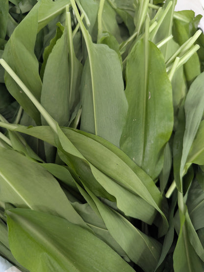 Ursula: Wild Garlic, Jalapeno & Mustard Buffalo Sauce
