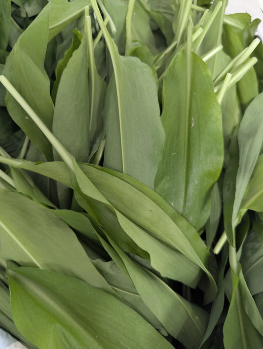 Ursula: Wild Garlic, Jalapeno & Mustard Buffalo Sauce
