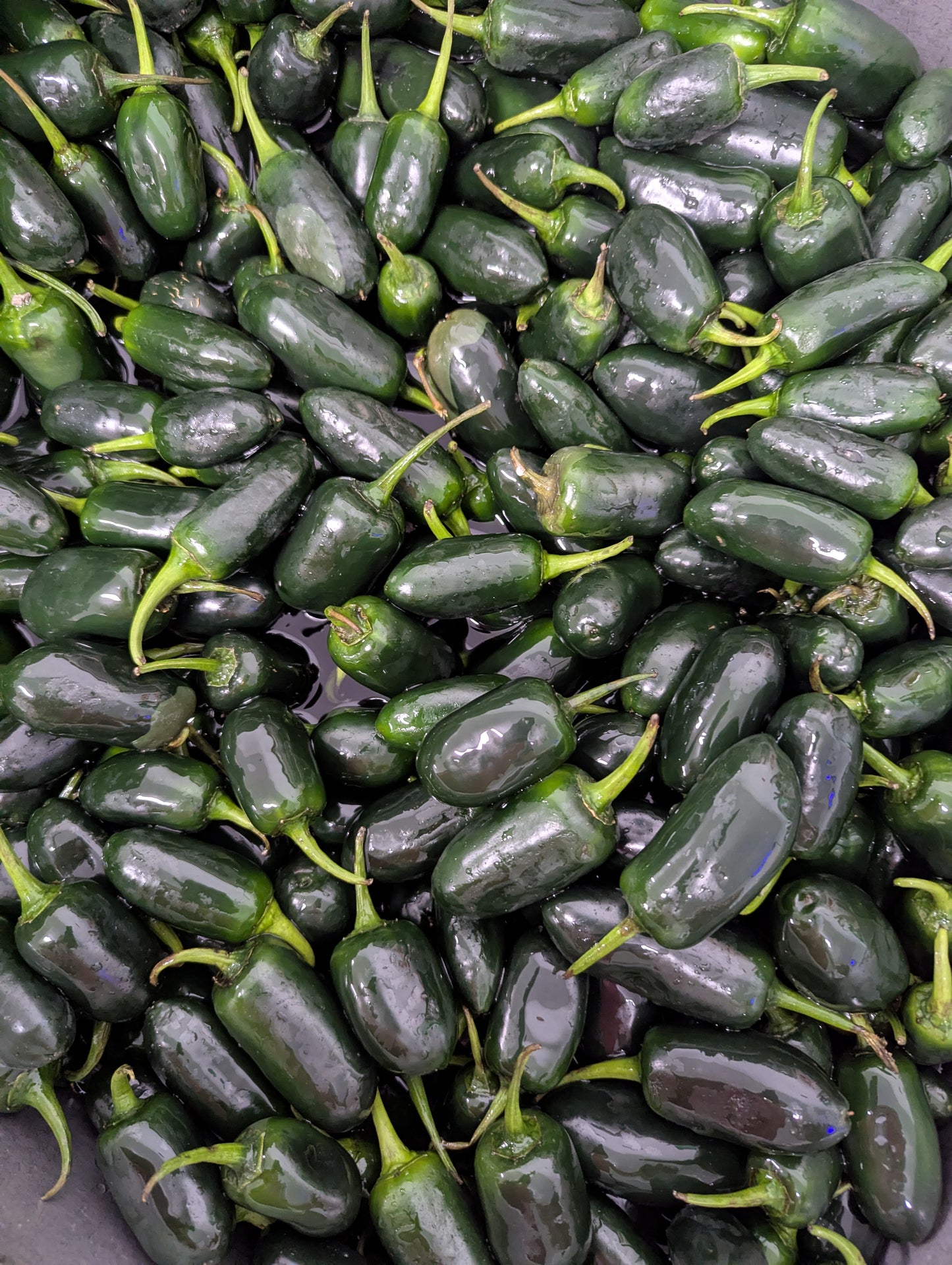 Ursula: Wild Garlic, Jalapeno & Mustard Buffalo Sauce